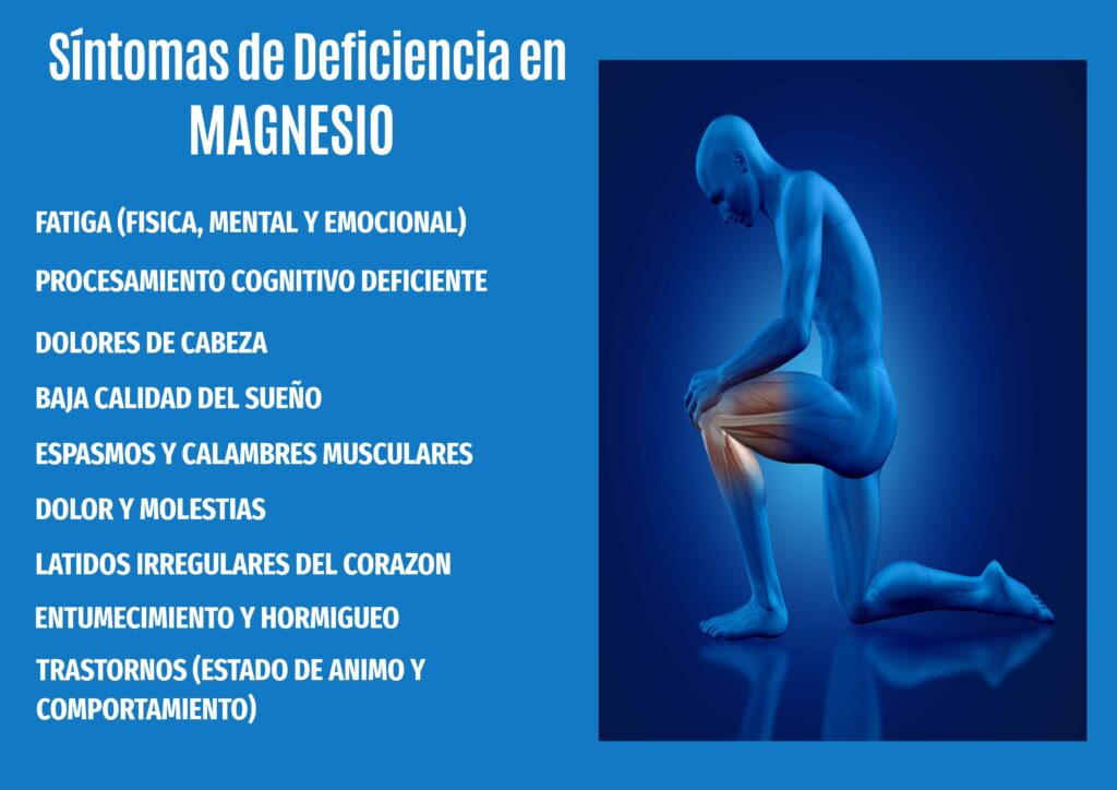 infografia sintomas deficiencia en magnesio