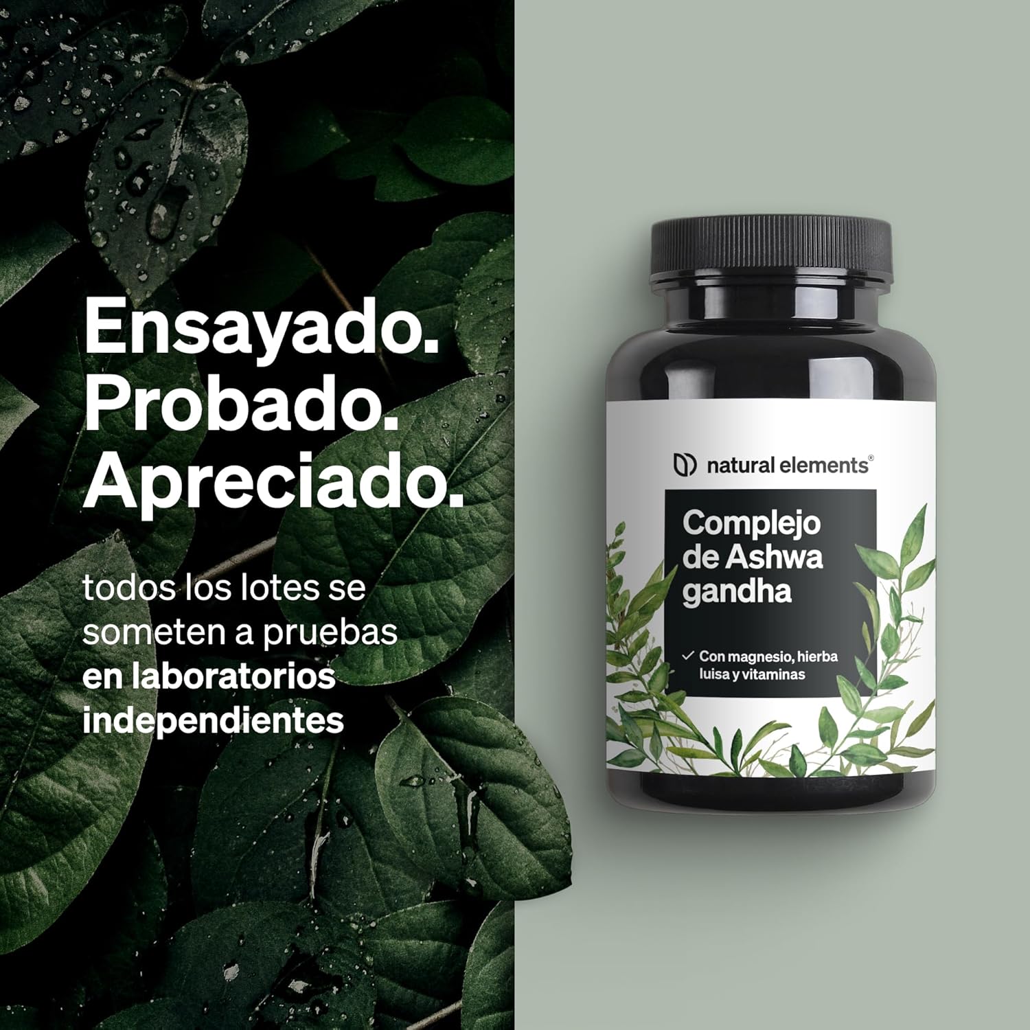 infografia de complejo ashwagandha natural elements