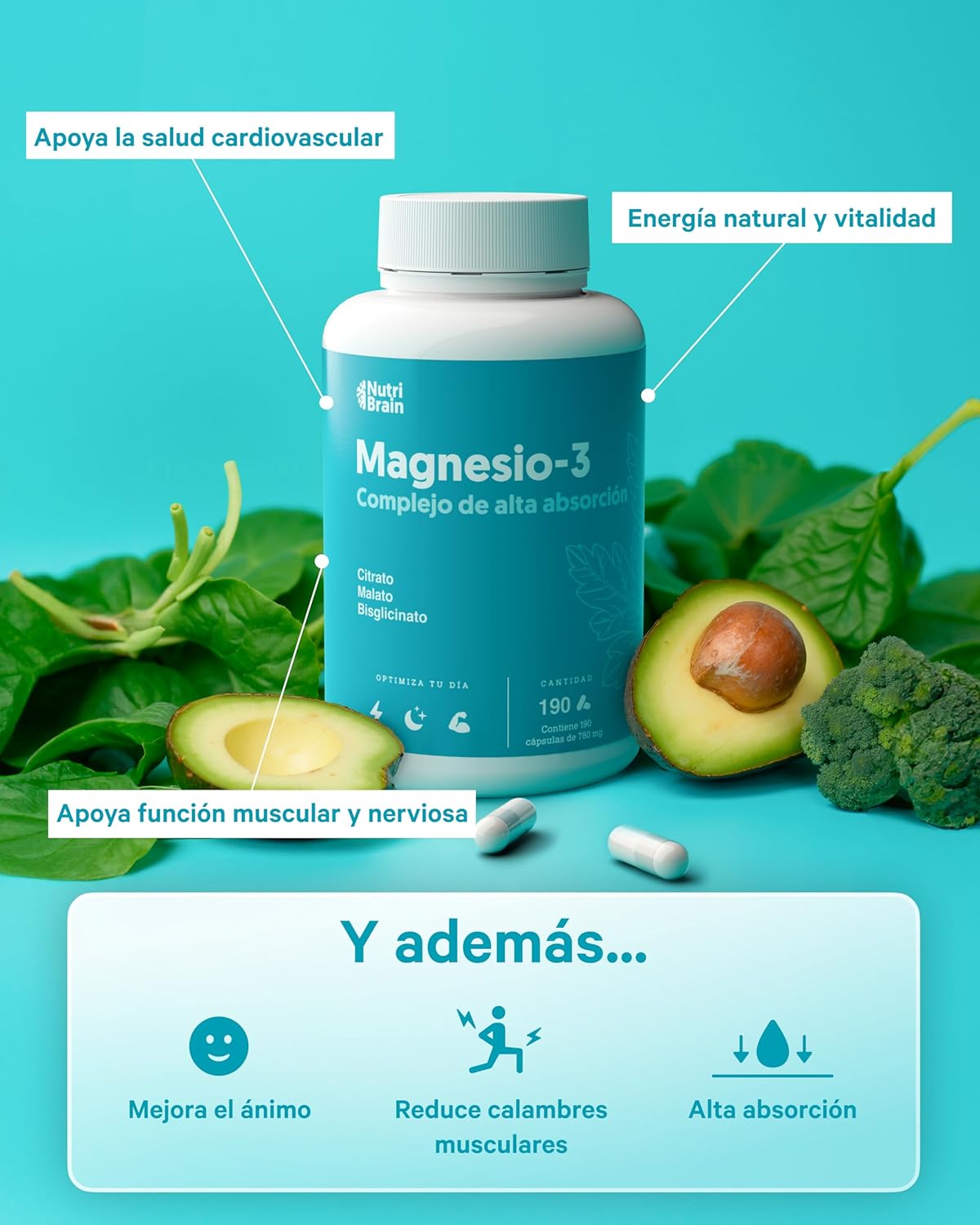 infografía de triple complejo de magnesio nutribrain