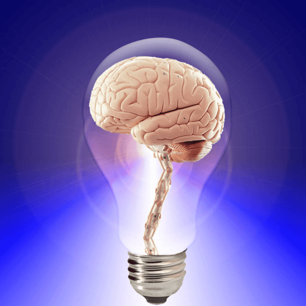 función del treonato de magnesio en el cerebro